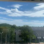 Guest Orłowo 4*