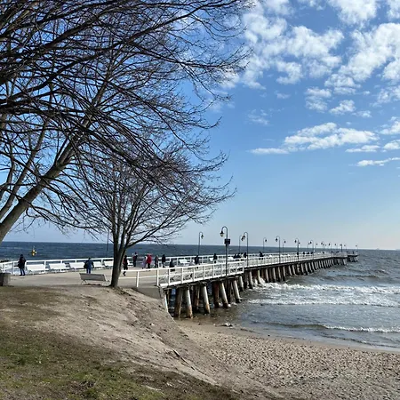 Guest Orlowo Гдиня