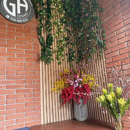 Guest Orlowo Гдиня