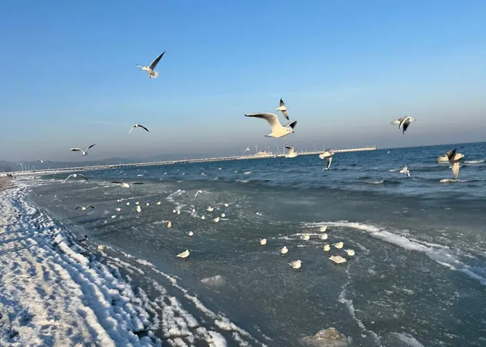 Guest Orlowo Affittacamere 4*